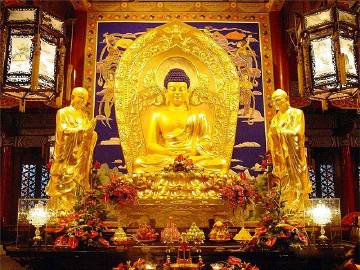 达真堪布：做个自由的人