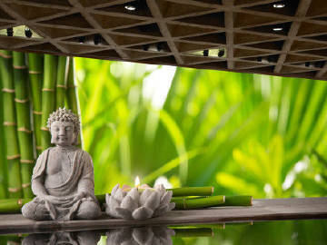 空行教授 第八节 极微心要口授 